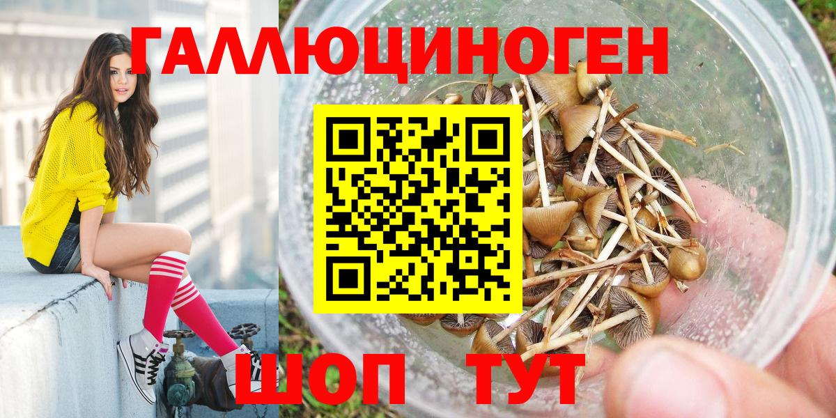 Галлюциногенные грибы Cubensis  сколько стоит  Удомля  Вход с VPN 